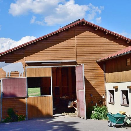 Ferienwohnung Burgerhof Pullenreuth Exterior photo