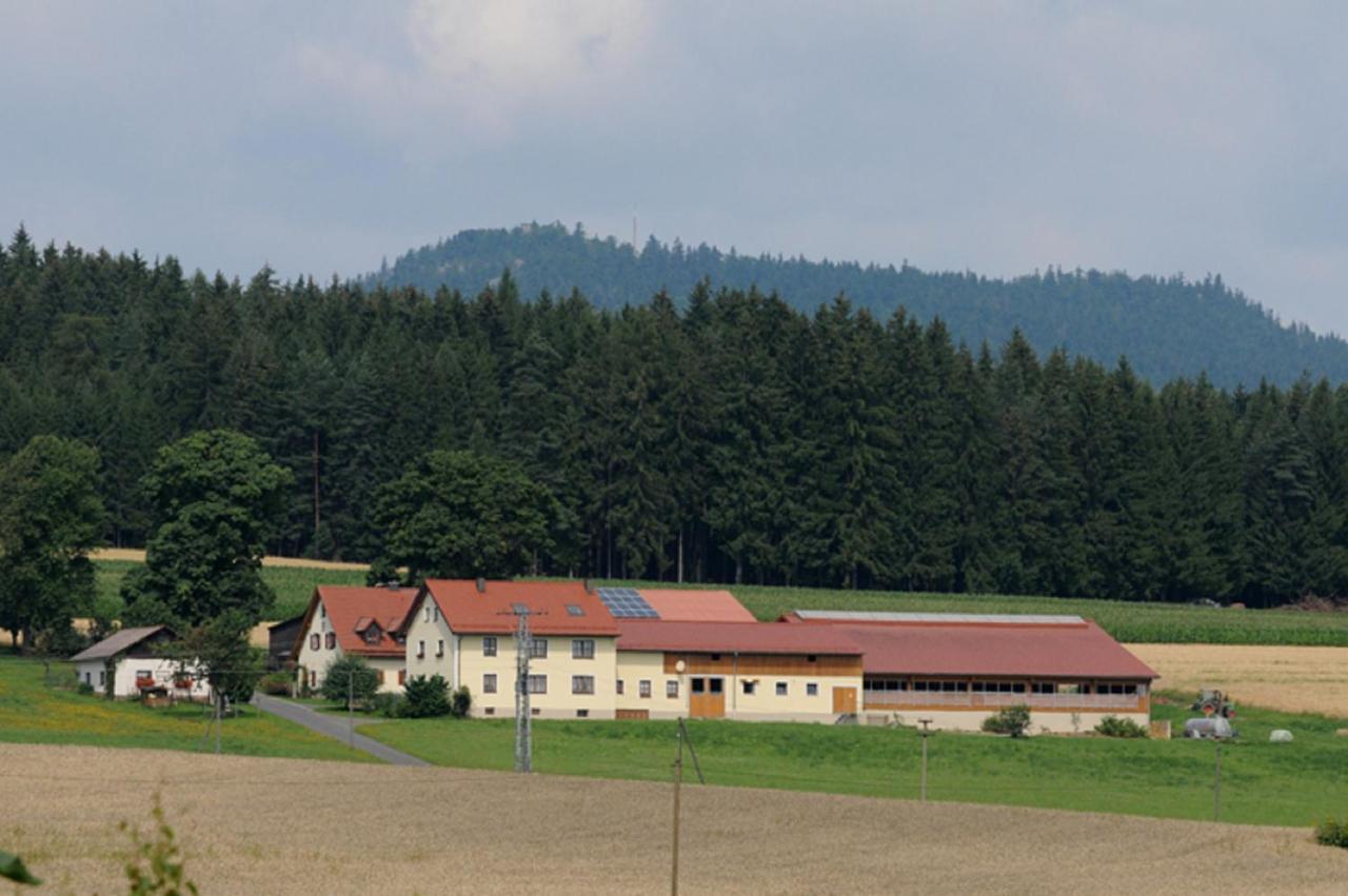 Ferienwohnung Burgerhof Pullenreuth Exterior photo