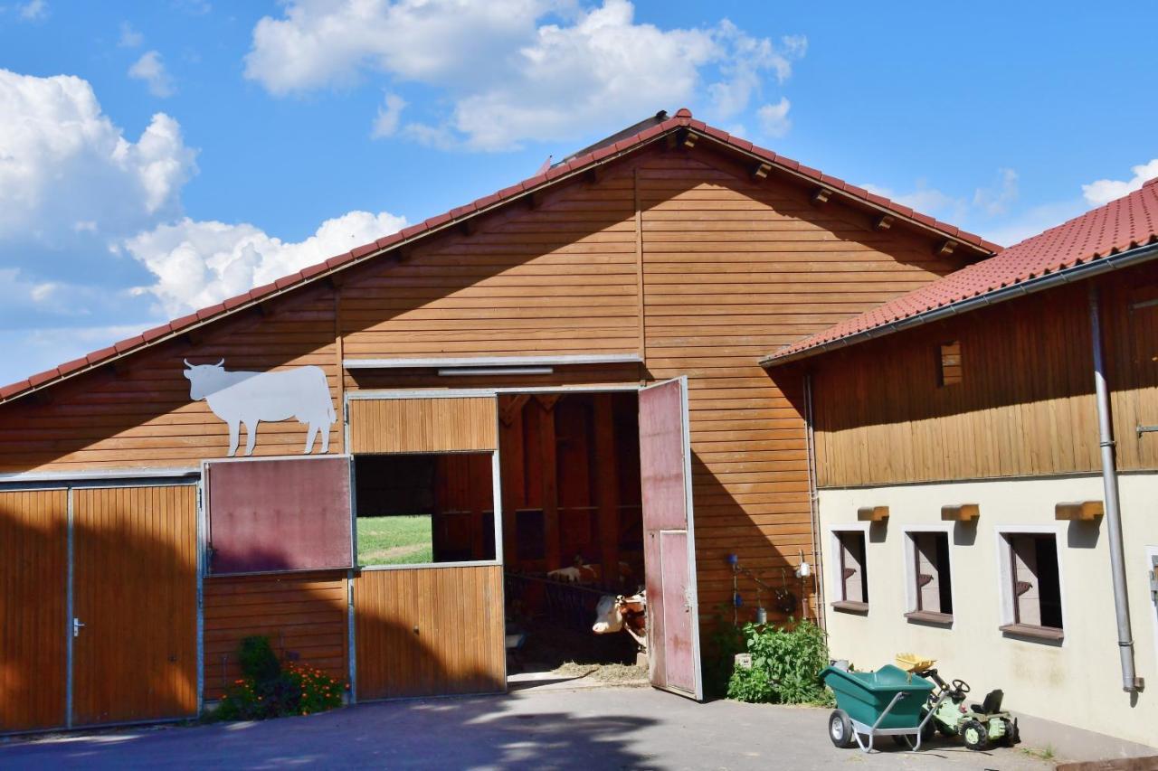Ferienwohnung Burgerhof Pullenreuth Exterior photo